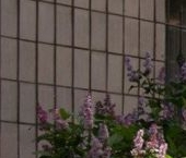 Продать Квартиры вторичка Вяземский переулок, 6   