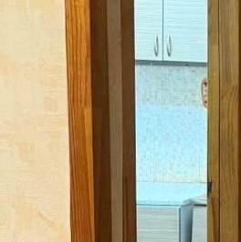 Продажа 1-комн квартиры на вторичном рынке Лесной Городок пгт, улица Фасадная, 5А