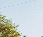 Продать Квартиры вторичка Большой Смоленский проспект, 30   