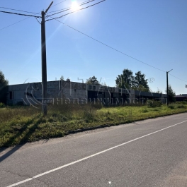 Продажа земли Шамокша, Шамокша д., д. 59