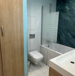 Продажа 2-комн квартиры на вторичном рынке Шушары п,  д. 4 к1 с1