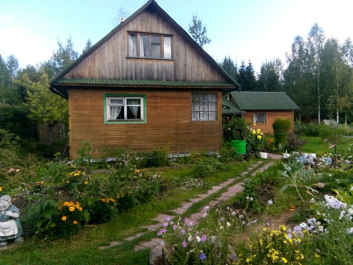 Продажа дома Восточное Радофинниково садоводческий массив, Буревестник СНТ, 11-я линия,  д. 4