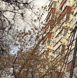 Продажа 1-комн квартиры на вторичном рынке Никитинская улица, 9