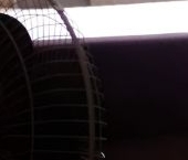 Сдать в аренду Комнаты в квартирах улица Добровольцев, 44   