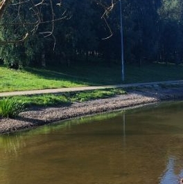 Продажа 1-комн квартиры на вторичном рынке Солнцевский проспект, 6