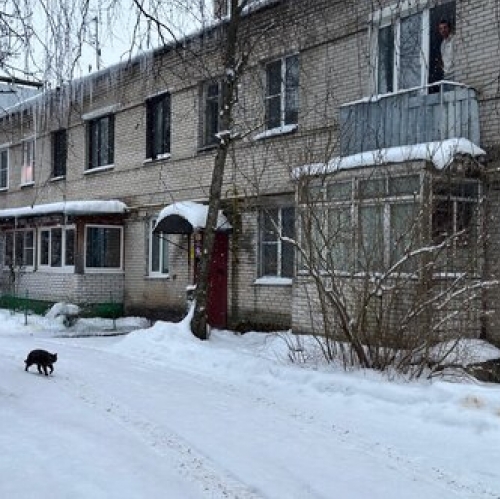 1-комн квартира Тайцы, Советская улица,  д. 15А