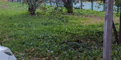 Комната проспект Народного ополчения, 183