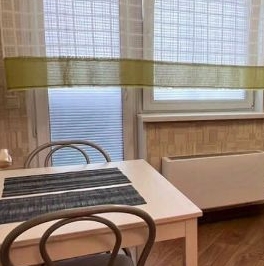 Аренда 1-комн квартиры на вторичном рынке Котельники, улица Сосновая, 1к3