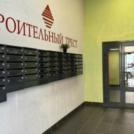 Продажа 1-комн квартиры на вторичном рынке Новоселье, Питерский пр-кт,  д. 7