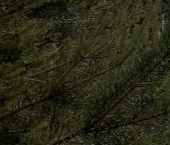 Продать Квартиры вторичка Школьная улица, 128к1   