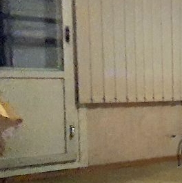 Аренда 2-комн квартиры на вторичном рынке проспект Ветеранов, 1К1 Аренда 2-комн квартиры на вторичном рынке проспект Ветеранов, 1К1