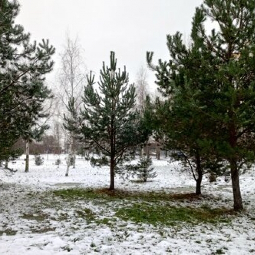 3-комн квартира Южное ш,  д. 47,  к. 4