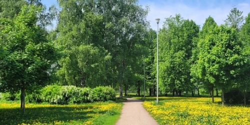 2-комн квартира шоссе Революции,  д. 33,  к. 2