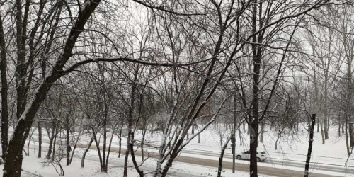 3-комн квартира Сухонская улица, 1