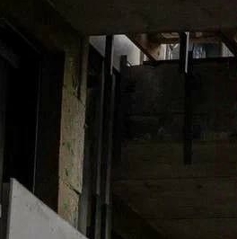 Продажа дома пос. Лисий Нос, Приморское шоссе, 26А