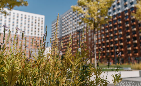 Продажа 3-комн квартиры на вторичном рынке Ясеневая ул,  д. 12 к5