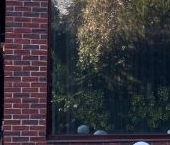 Продать Дачи, коттеджи, загородные дома Березовая роща ДНП, Сертолово, улица Осиновая  9 