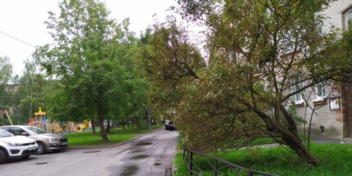 1-комн квартира Стрельна г., Санкт-Петербургское шос.,  д. 94