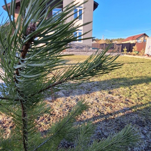 Коттедж/дом Подгорье п.,