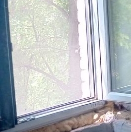 Продажа 2-комн квартиры на вторичном рынке Электросталь, улица 2-я Поселковая, 24 Продажа 2-комн квартиры на вторичном рынке Электросталь, улица 2-я Поселковая, 24