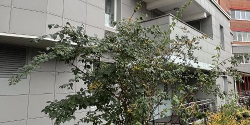 1-комн квартира улица Твардовского, 12к2