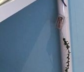 Продать Квартиры вторичка улица Металлургов, 38   