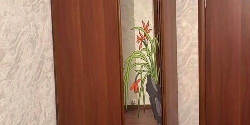 1-комн квартира Псковская улица, 9К2