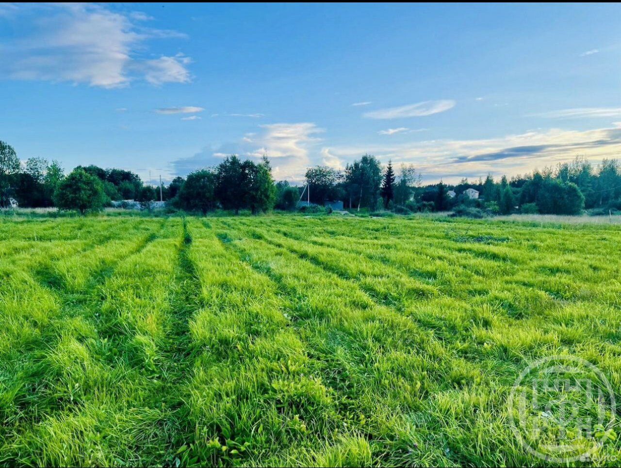 Продажа земли д. Слапи, улица Весенняя, 30
