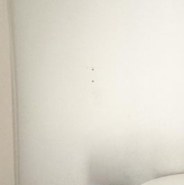 Аренда 2-комн квартиры на вторичном рынке д. Новое Девяткино, улица Главная, 12 Аренда 2-комн квартиры на вторичном рынке д. Новое Девяткино, улица Главная, 12