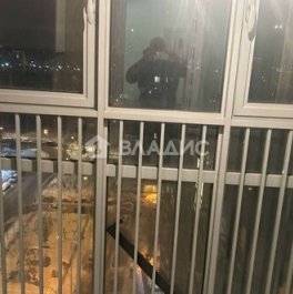 Продажа 1-комн квартиры на вторичном рынке Агрохимическая улица,  д. 3