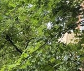 Продать Квартиры вторичка Кутузовский проспект, 76   