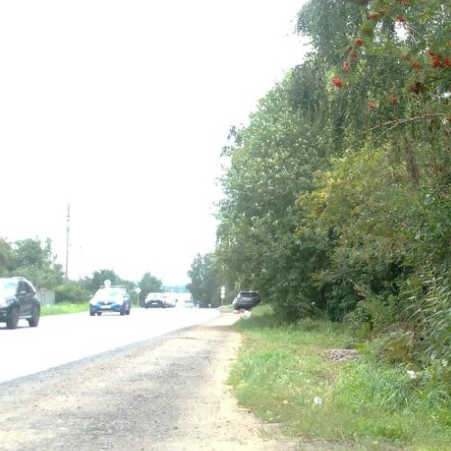 Земельный участок д. Скотное, 17А