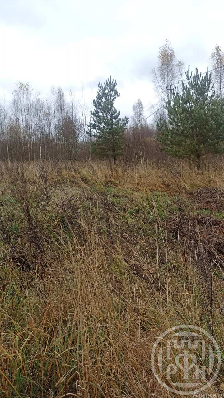 Продажа земли Старая Середка дер.