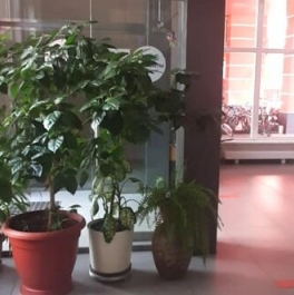 Продажа 1-комн квартиры на вторичном рынке Люберцы, ул Кирова,  д. 12,  к. 2