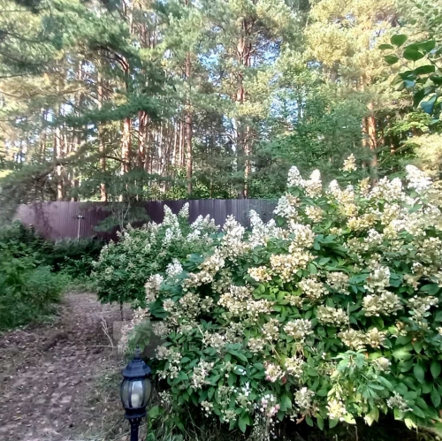 Коттедж/дом Дедовск г., Пригородная ул., 19