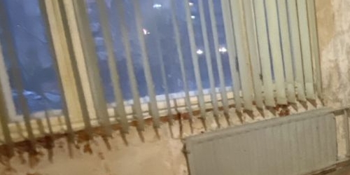 2-комн квартира проспект Кузнецова, 21