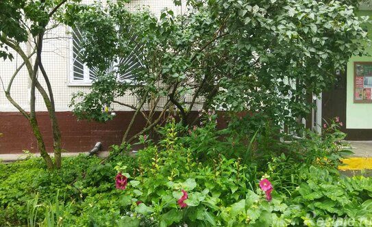 Продажа 1-комн квартиры на вторичном рынке Юрловский проезд,  д. 25