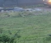 Продать Дачи, коттеджи, загородные дома Эко Токсово 2 кп, пос. Новое Токсово   