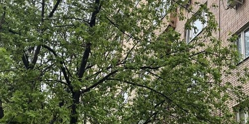 2-комн квартира Звенигородское шоссе, 2