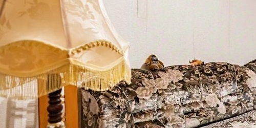 4-комн квартира улица Твардовского, 29К1