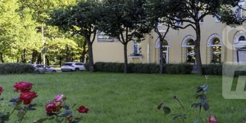 2-комн квартира Пушкин, Конюшенная улица, 39/39