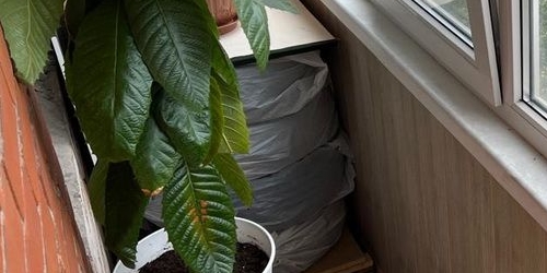 3-комн квартира Пушкин, Артиллерийская улица, 4