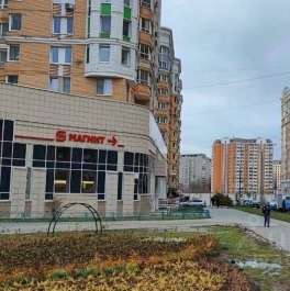 Аренда ПСН Радиальная 6-я ул,  д. 3 к8