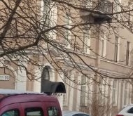 Продажа комнаты в коммуналках Пушкин, Широкая улица, 18