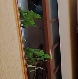 Продажа 3-комн квартиры на вторичном рынке Коптевская улица, 83К1 Продажа 3-комн квартиры на вторичном рынке Коптевская улица, 83К1