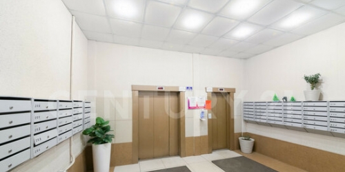 1-комн квартира Ветеранов пр-кт,  д. 122