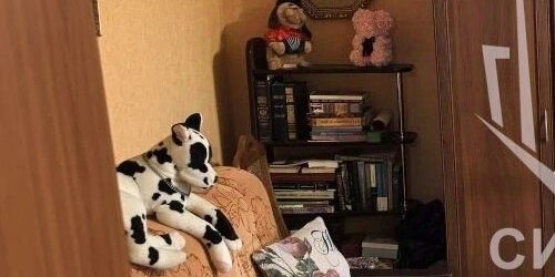 1-комн квартира Вешняковская улица, 11К2