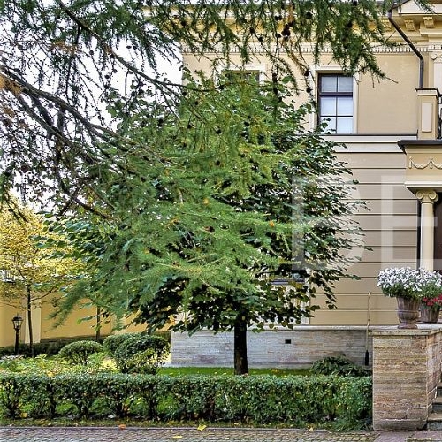 Коттедж/дом Павловск, Краснофлотский переулок, 29а