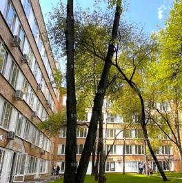 Продажа торгового помещения Старокалужское шоссе