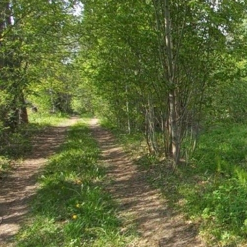 Земельный участок Боровое массив, Боровое-2 СНТ